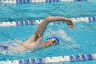 Swimming & Diving vs RWU  Swimming & Diving vs Roger Williams University. - Photo by Keith Nordstrom : Wheaton, Swimming